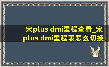 宋plus dmi里程查看_宋plus dmi里程表怎么切换成中文